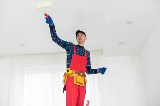 Best Mold Odor Removal Services  in Rolling Fork, MS