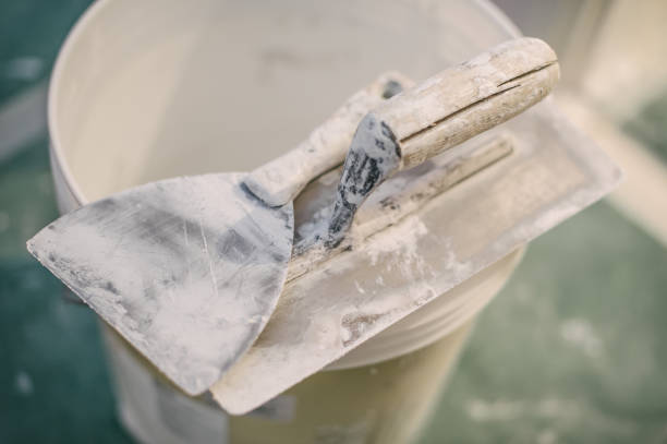 Rolling Fork, MS Mold Removal Company